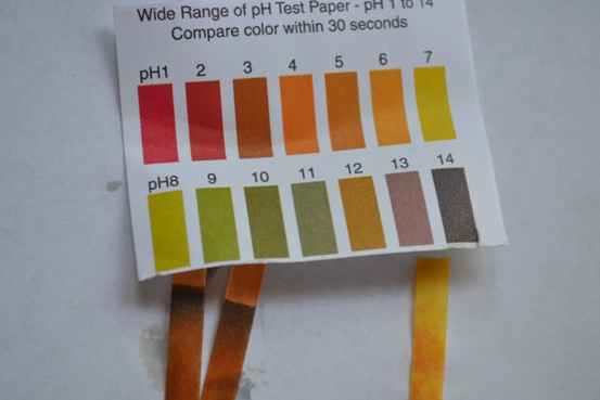 Test strips showing pH Result